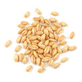 Soft White Wheat Berries 25 Pound Box H50287
