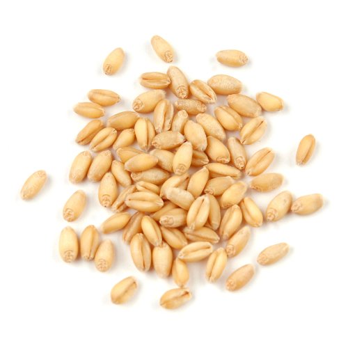 Soft White Wheat Berries 25 Pound Box H50287