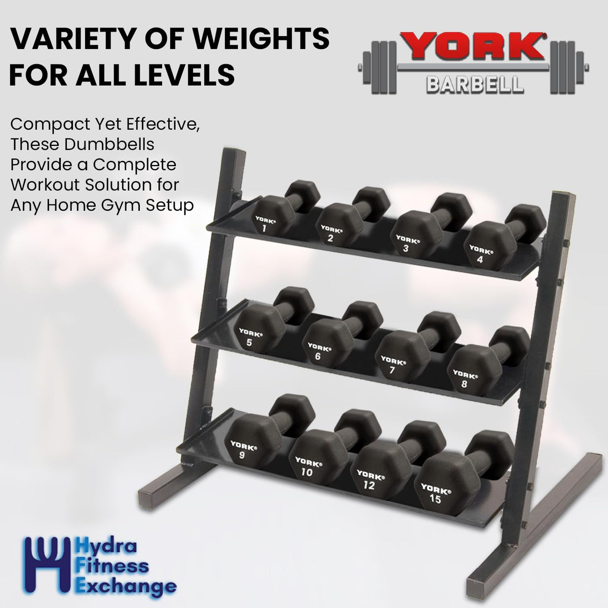 Neoprene Hexagon Dumbbells with Cast Ergo Handle 10lb Pack of 1 L8940