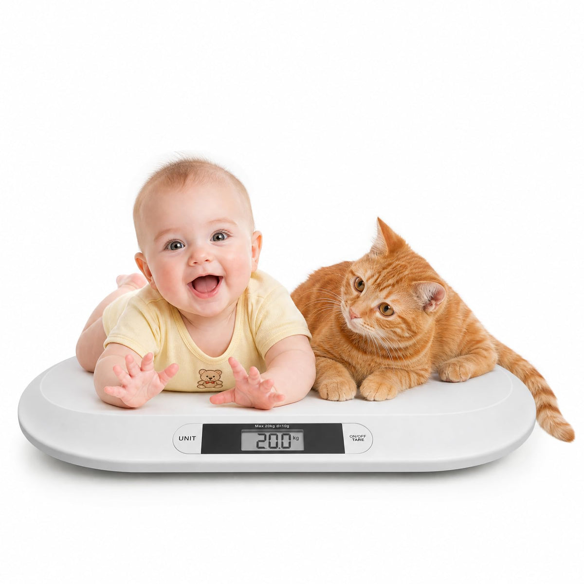 Digital Baby Scale up to 44lbs R6619