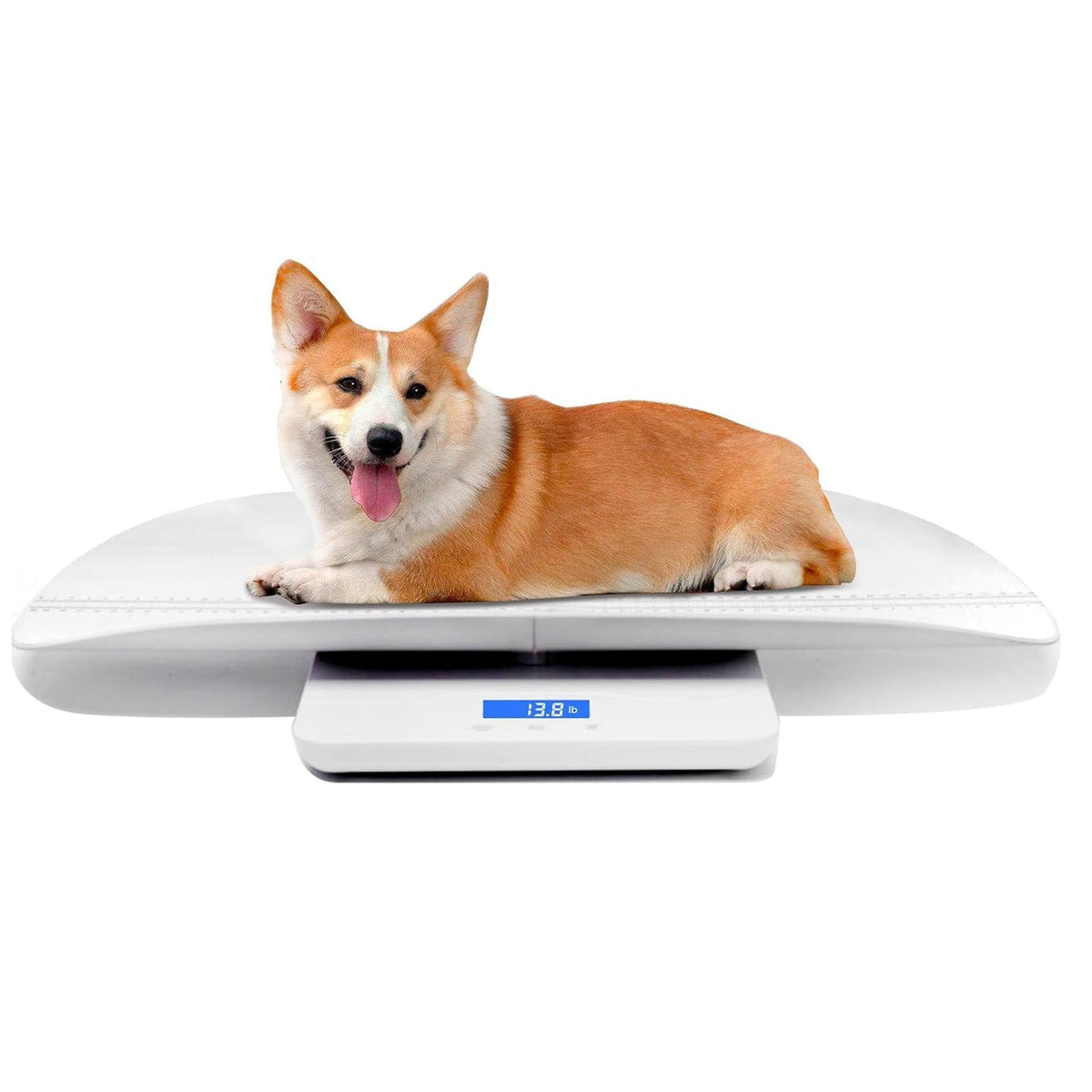 Digital Pet Scale with 3 Weighing Modes, Max 220 lbs, White O750