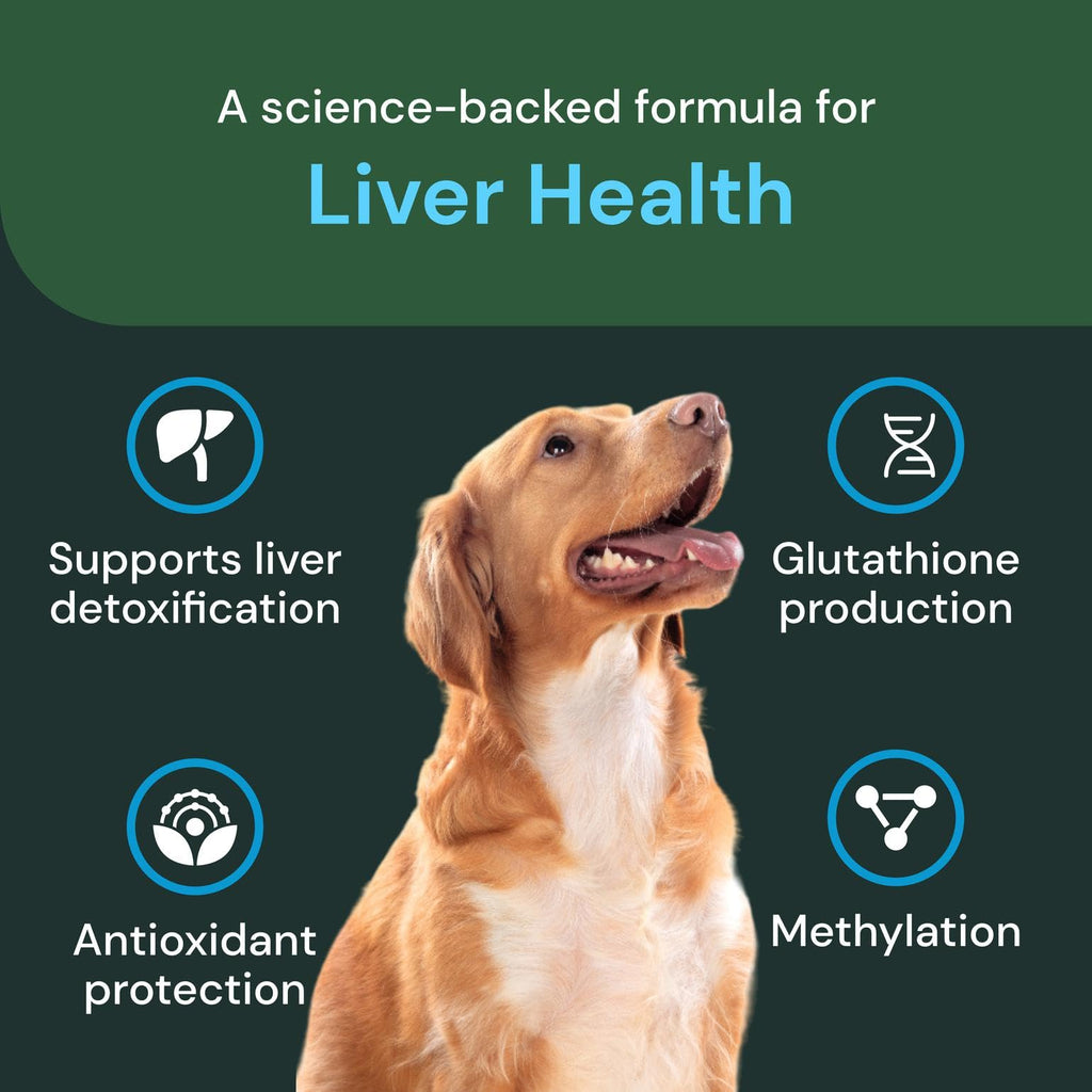 Liver Health Chews 60 Count S57494
