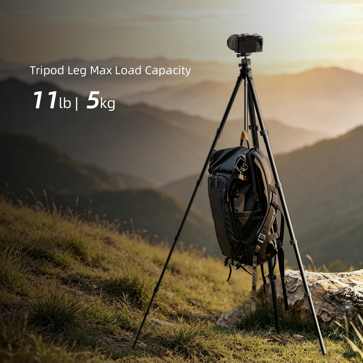 72" Lightweight Aluminum Camera Tripod with Ball Head and Carry Bag D665115