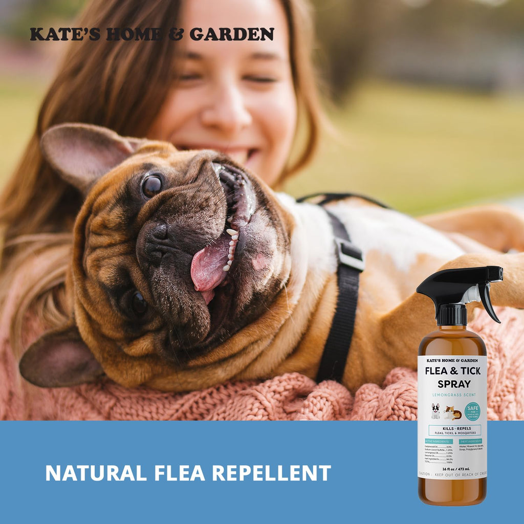 Flea and Tick Spray for Dogs & Cats 16oz L469952