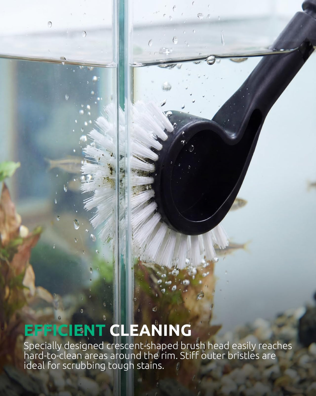 Aquarium Algae Scraper Glass Cleaner Set T772800