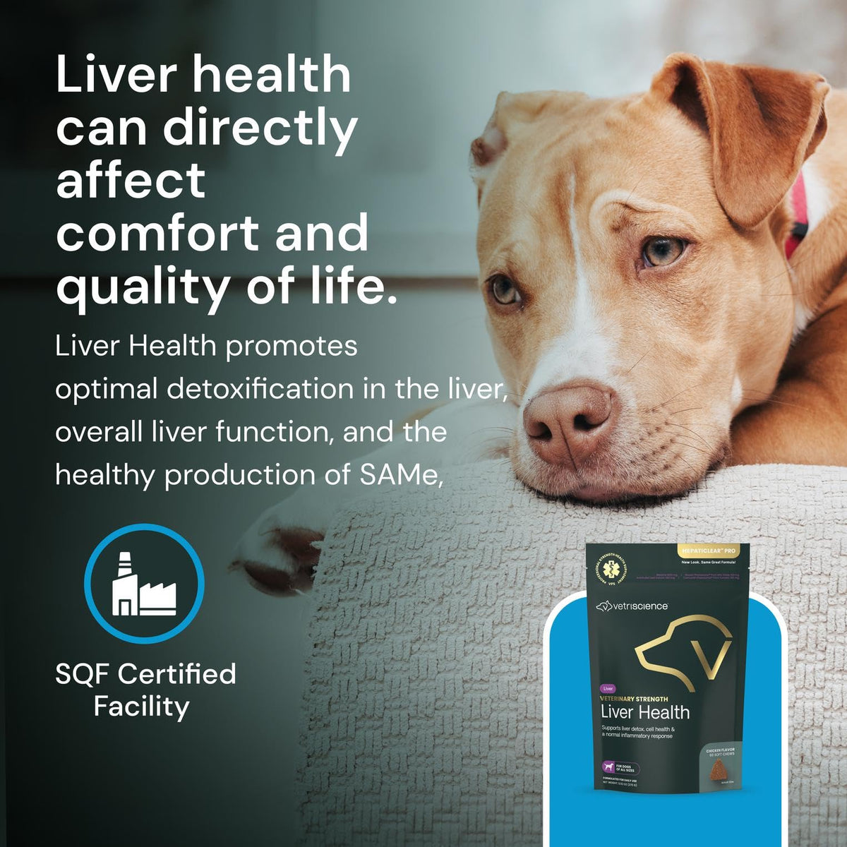 Liver Health Chews 60 Count S57494