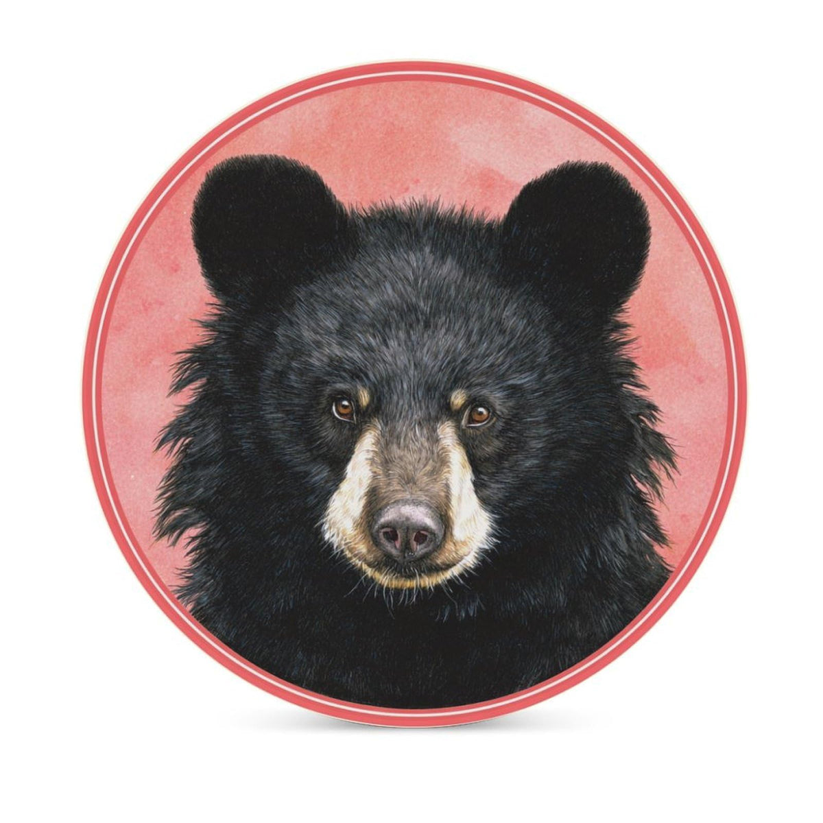 Black Bear Coasters Set of 4 C76393