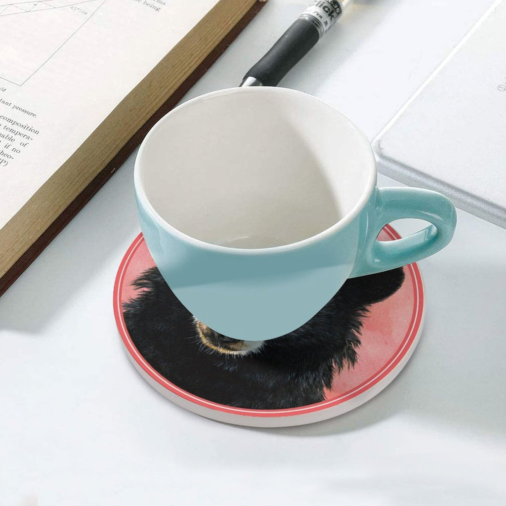Black Bear Coasters Set of 4 C76393