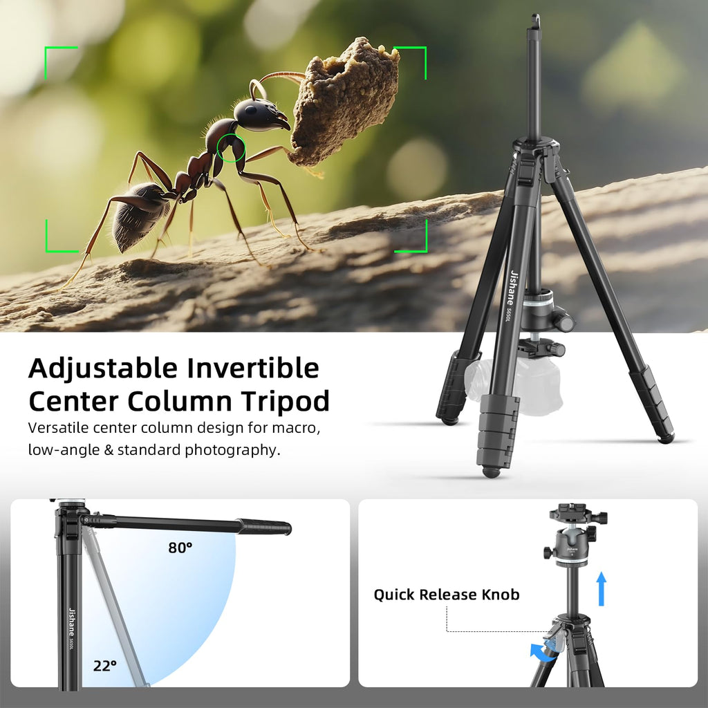 72" Lightweight Aluminum Camera Tripod with Ball Head and Carry Bag D665115