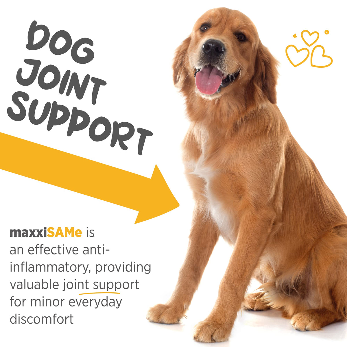 SAM-e for Dogs Liver & Cognitive Support Powder 5.3 oz N2093
