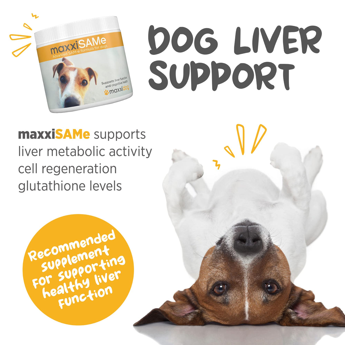 SAM-e for Dogs Liver & Cognitive Support Powder 5.3 oz N2093