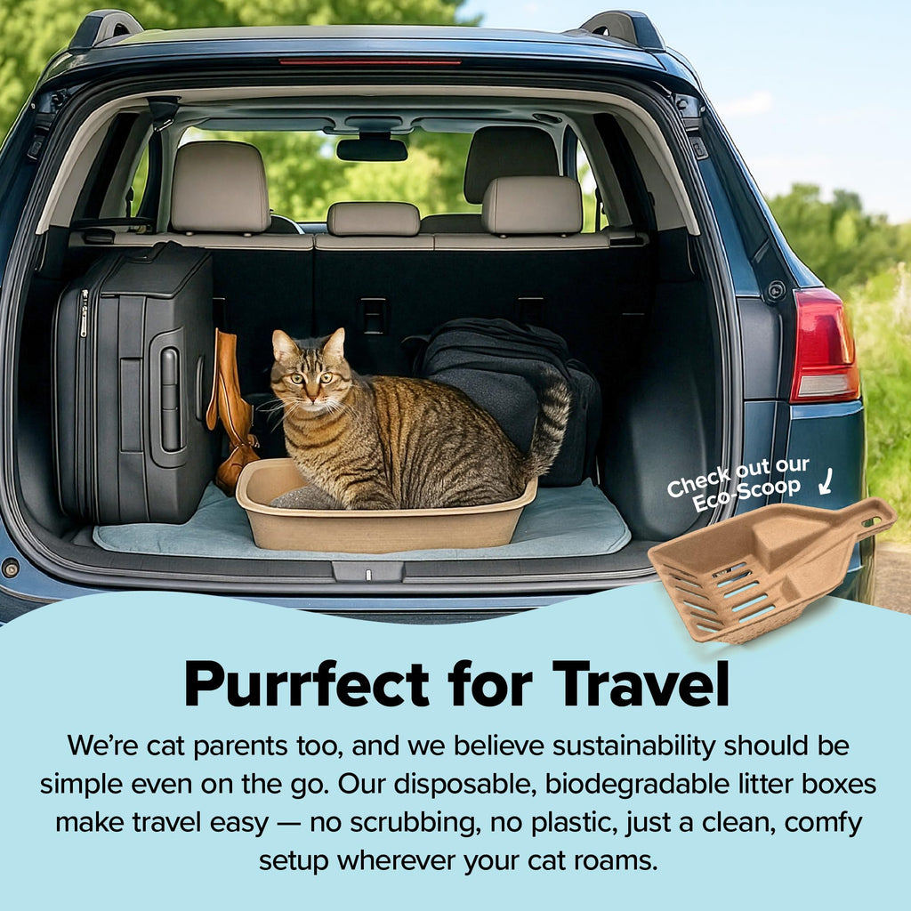 Large 6 Count Disposable Cat Litter Box I7096