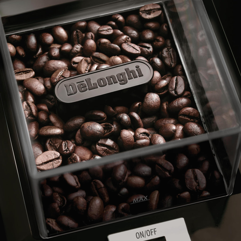 Stainless Steel Burr Coffee Grinder S310879