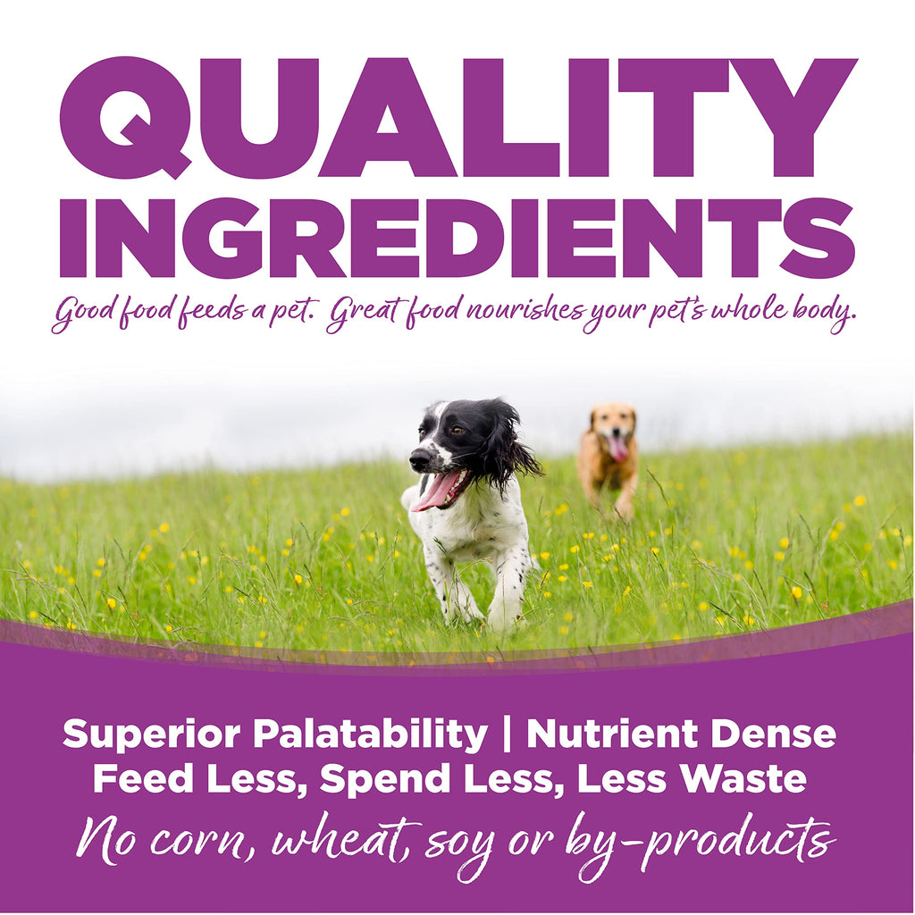 Large Breed Puppy Chicken & Rice Dry Dog Food 26 lb G66860