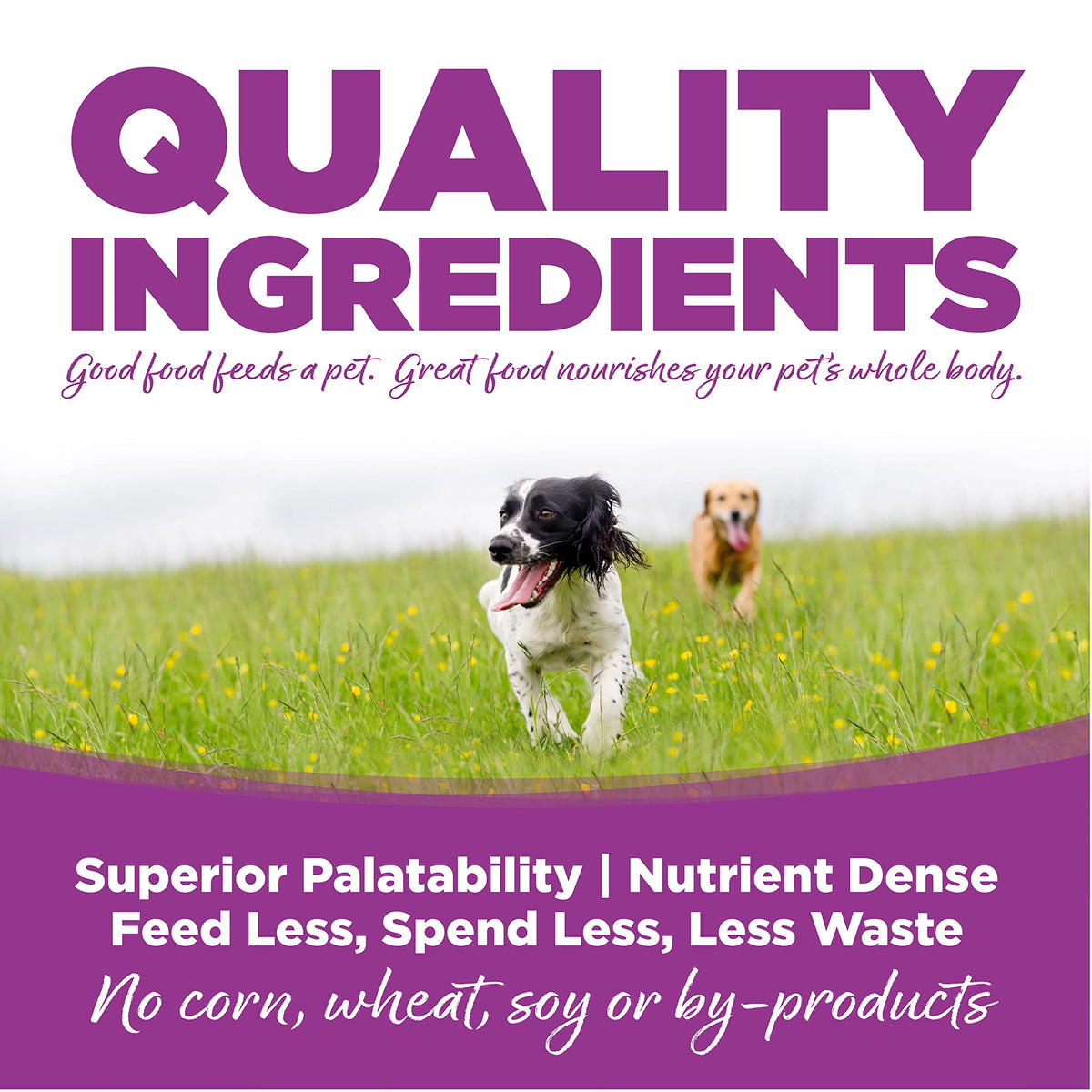 Large Breed Puppy Chicken & Rice Dry Dog Food 26 lb G66860