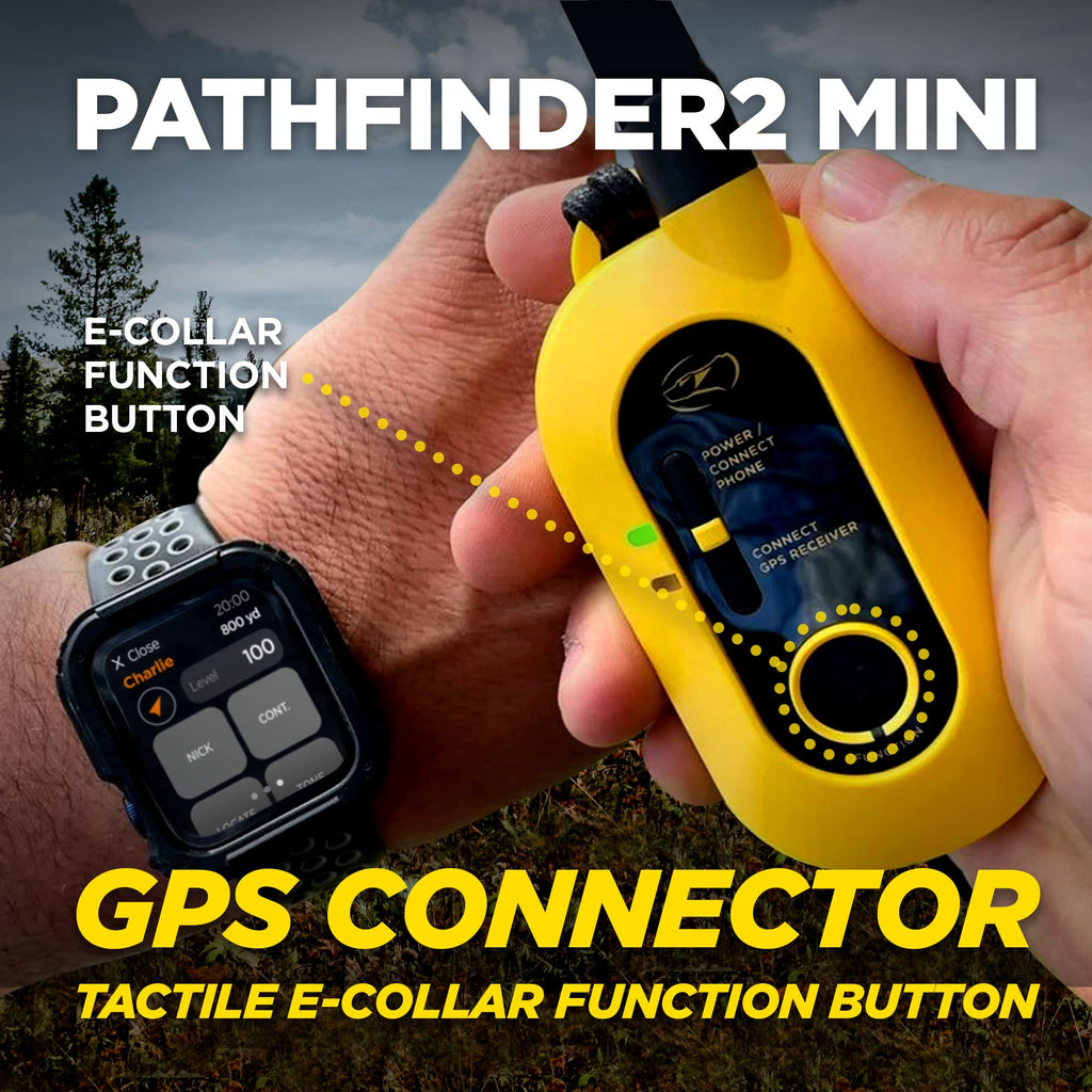 Rechargeable GPS Training Collar with Remote Z9771
