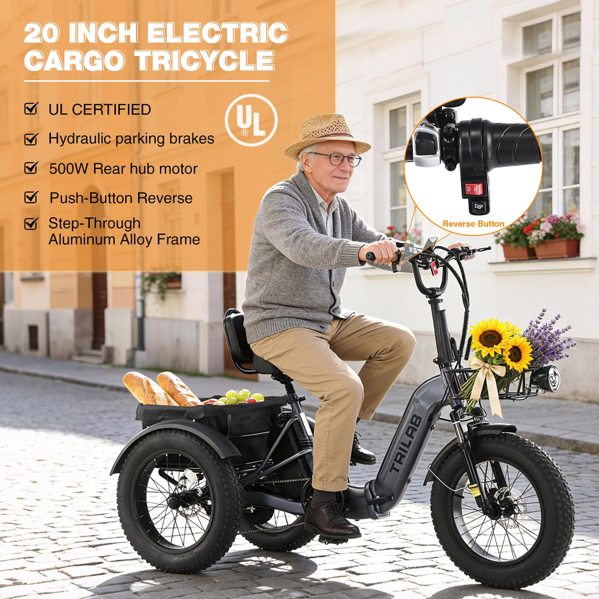 20" Fat Tire Foldable Electric Tricycle Z795