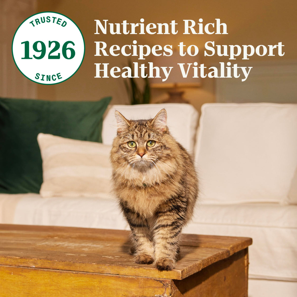Adult Dry Cat Food Chicken & Brown Rice 5 lb C23263