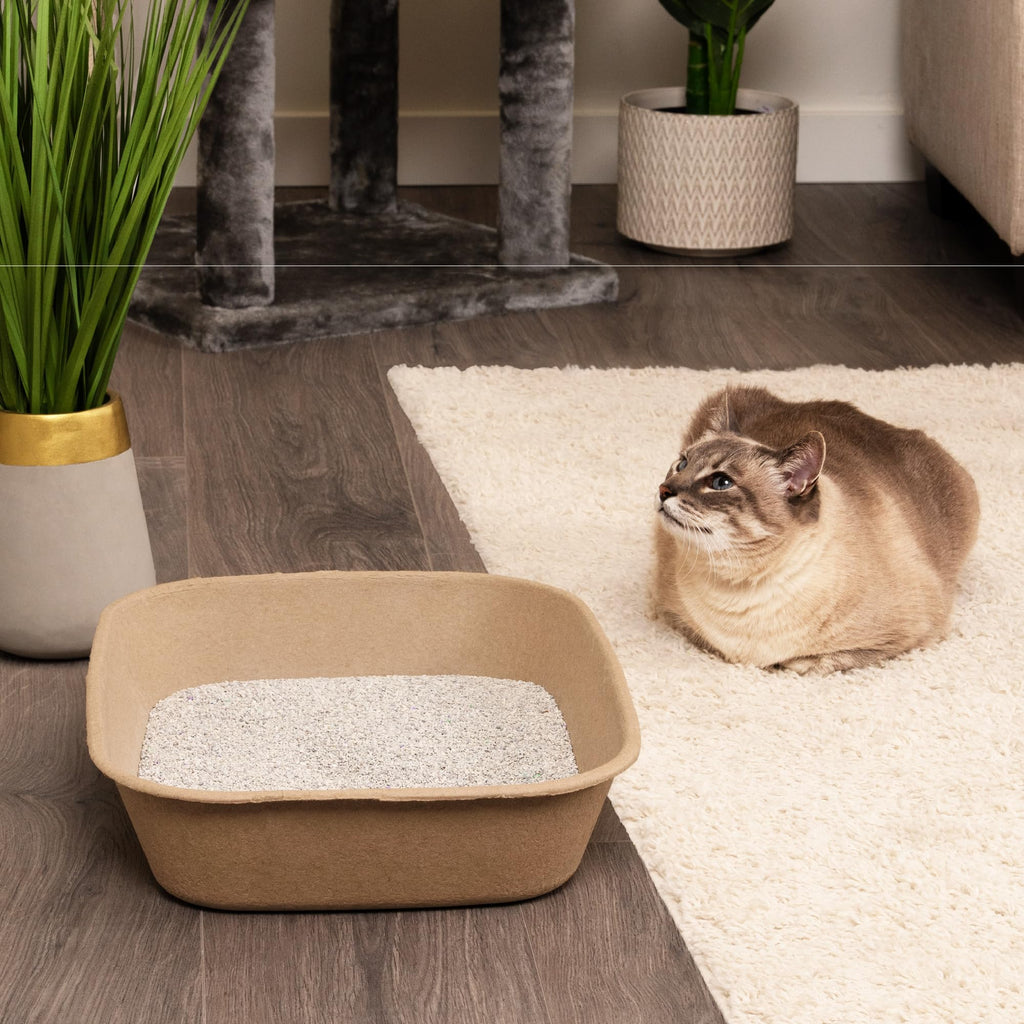 Large 6 Count Disposable Cat Litter Box I7096
