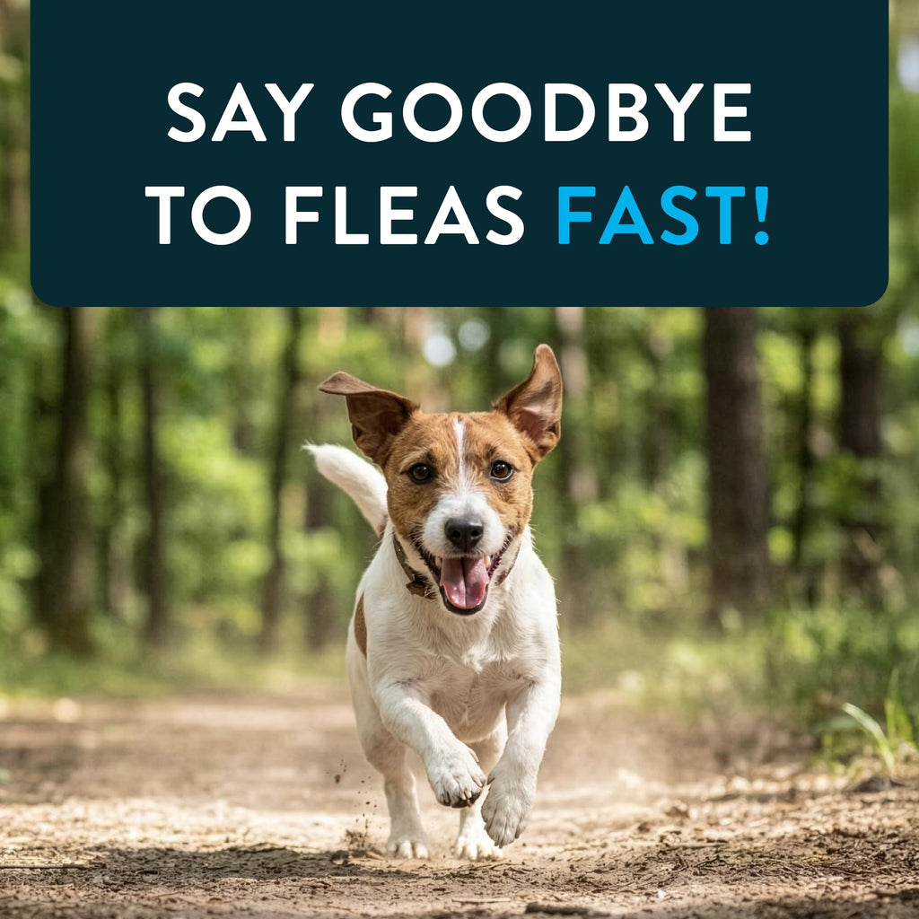 Oral Flea Tablets Dogs 2-25 lbs, Nitenpyram, 6-Dose M622252