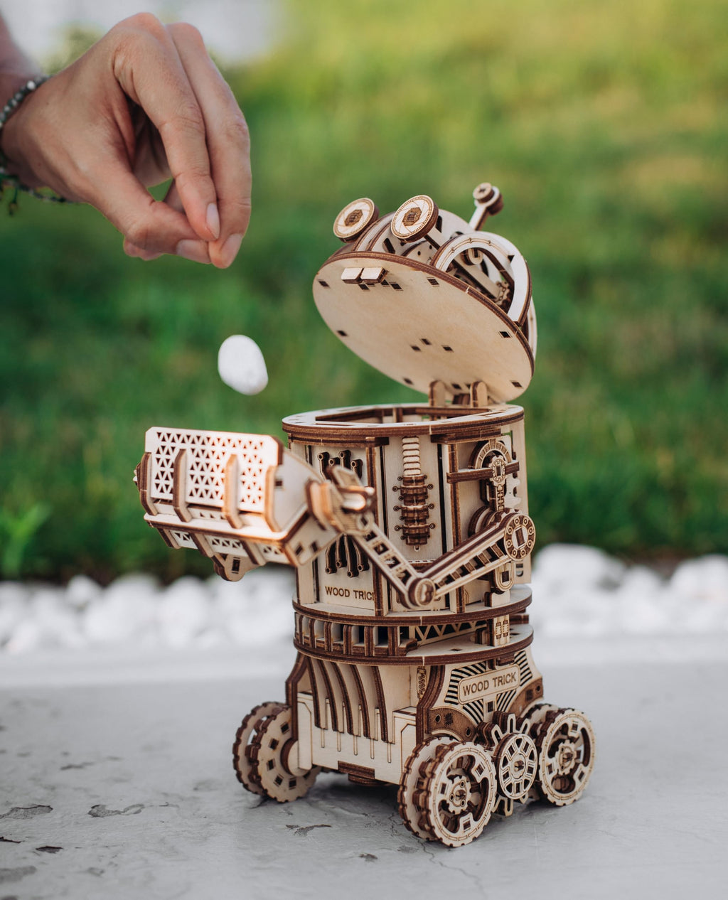 3D Wooden Puzzle C670