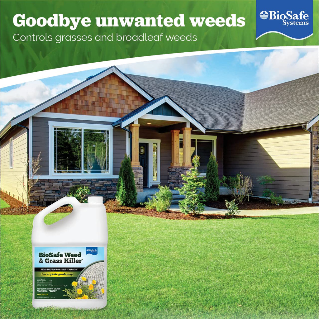 1 Gallon Water Soluble Weed & Grass Killer Concentrate C311279