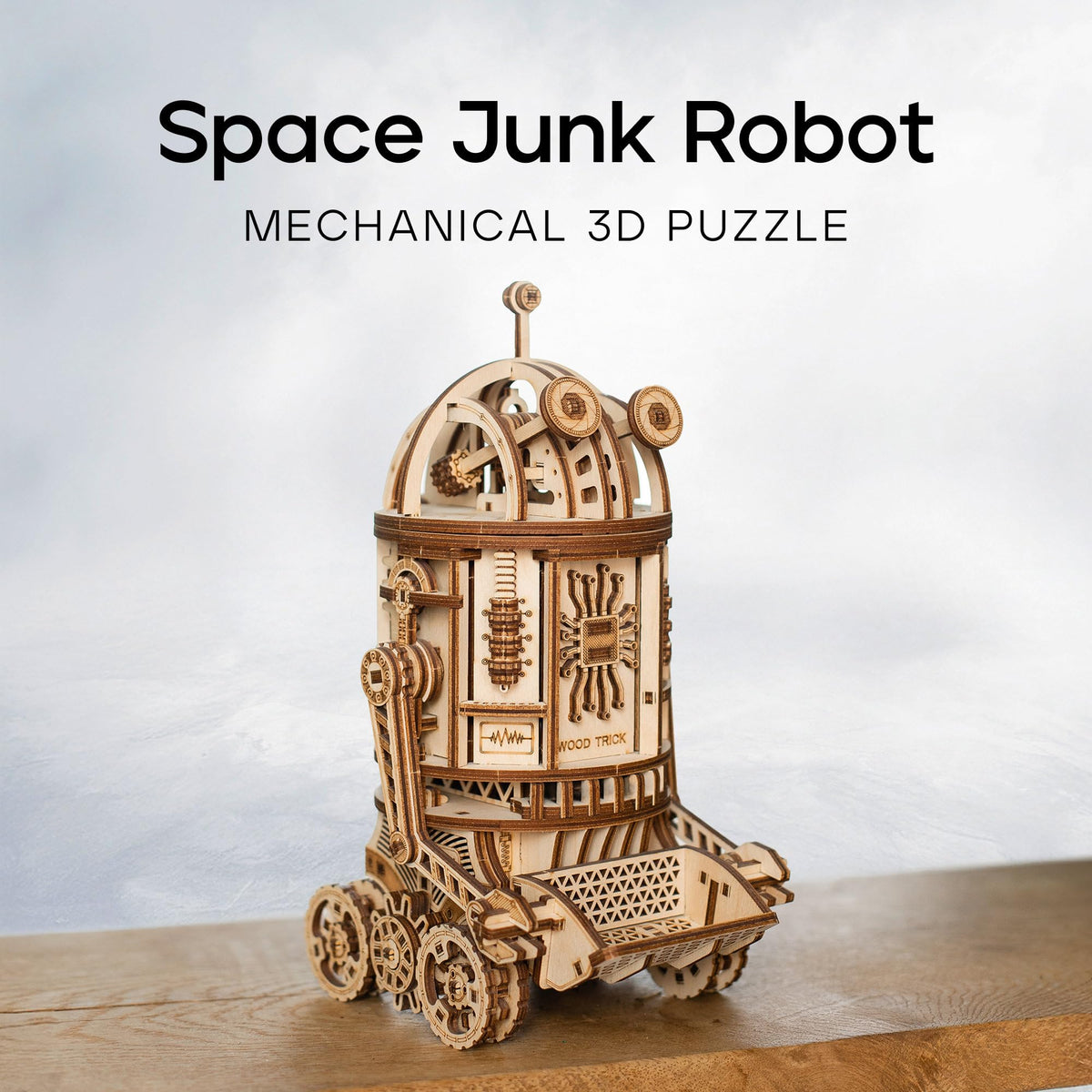 3D Wooden Puzzle C670