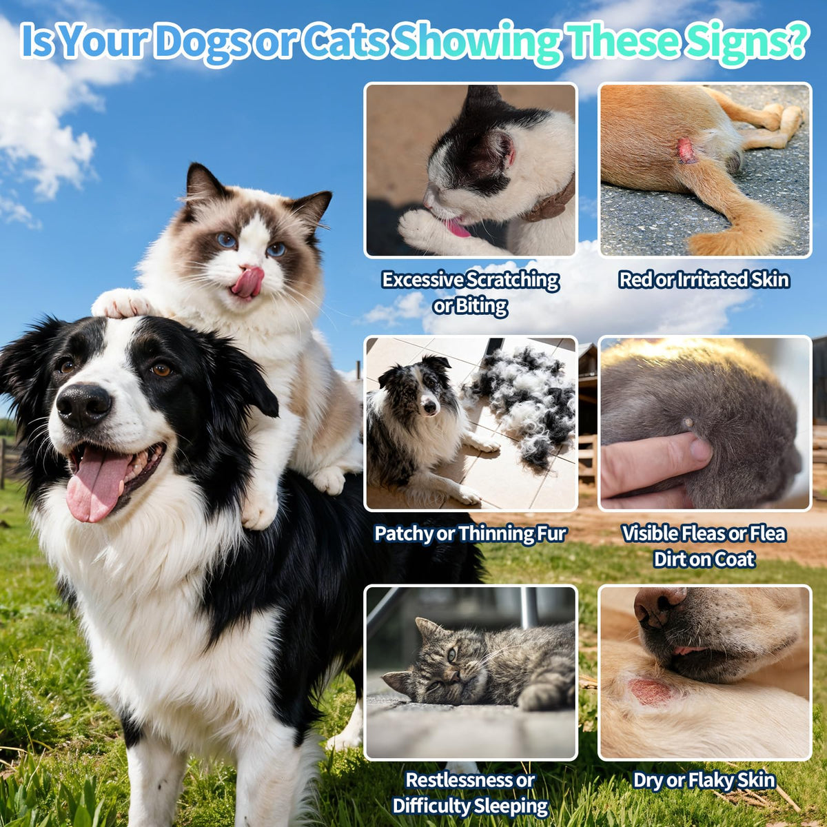 Oral Flea and Tick Prevention Drops 2 fl oz Y6943