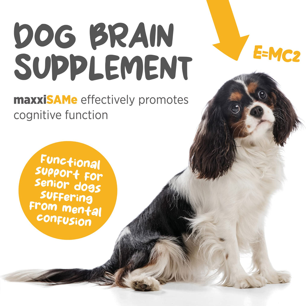 SAM-e for Dogs Liver & Cognitive Support Powder 5.3 oz N2093