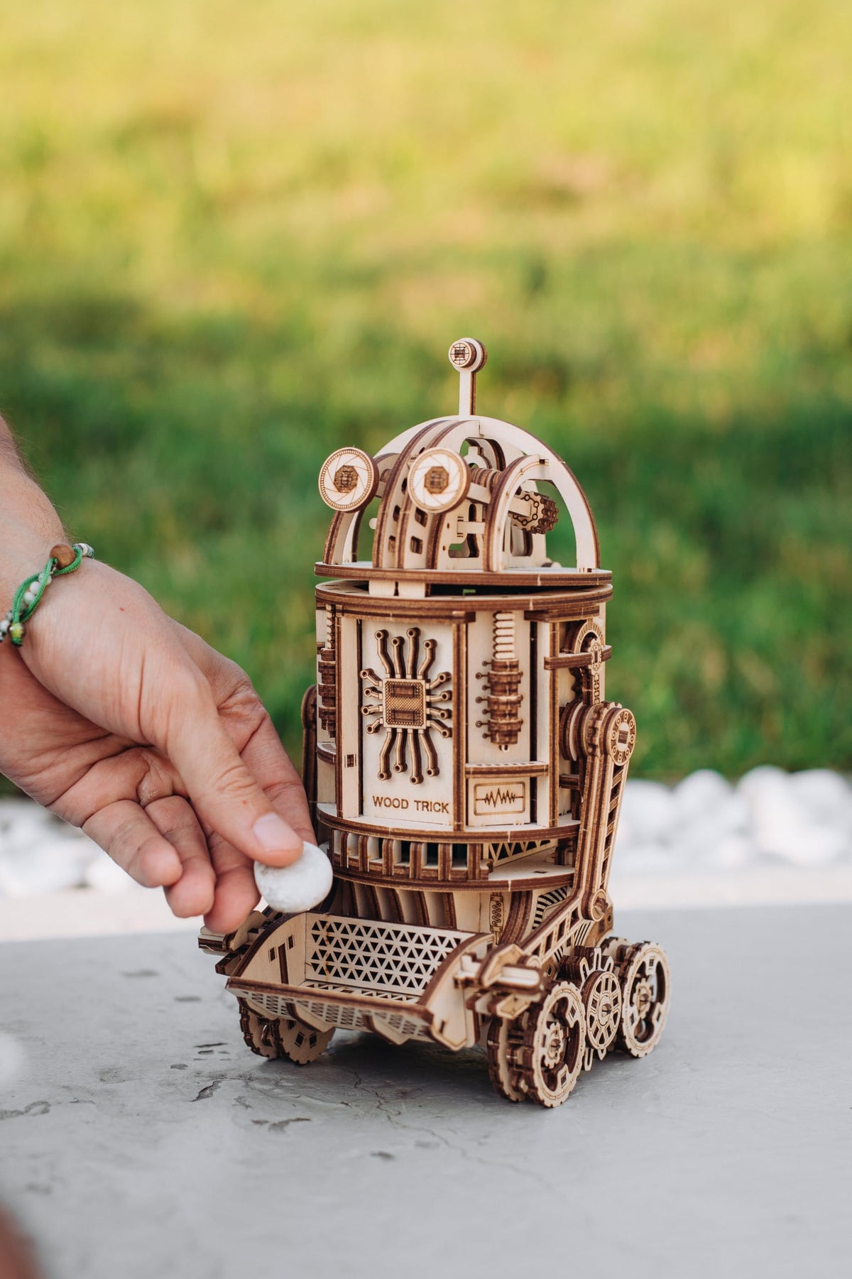 3D Wooden Puzzle C670