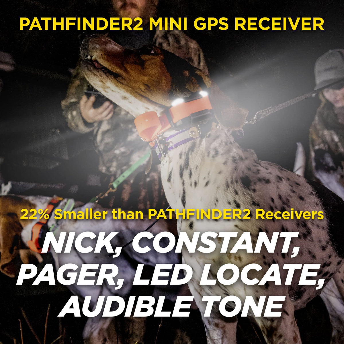 Rechargeable GPS Training Collar with Remote Z9771