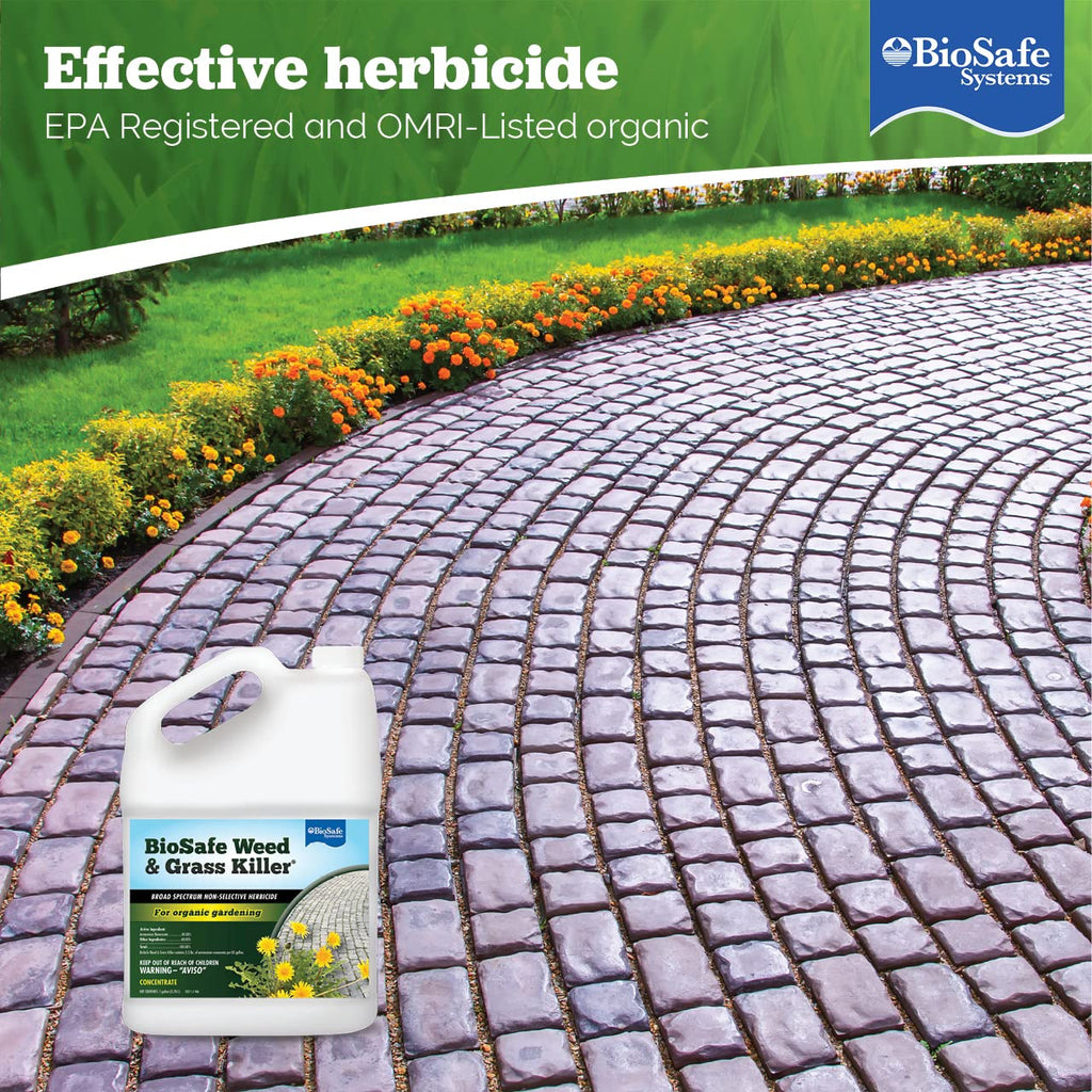1 Gallon Water Soluble Weed & Grass Killer Concentrate C311279