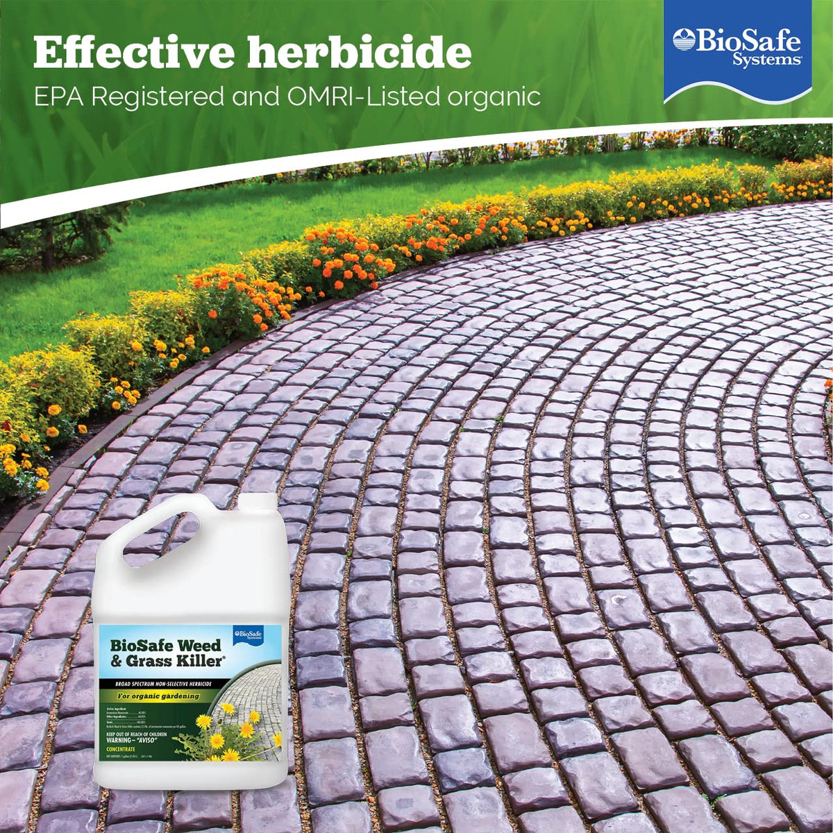 1 Gallon Water Soluble Weed & Grass Killer Concentrate C311279