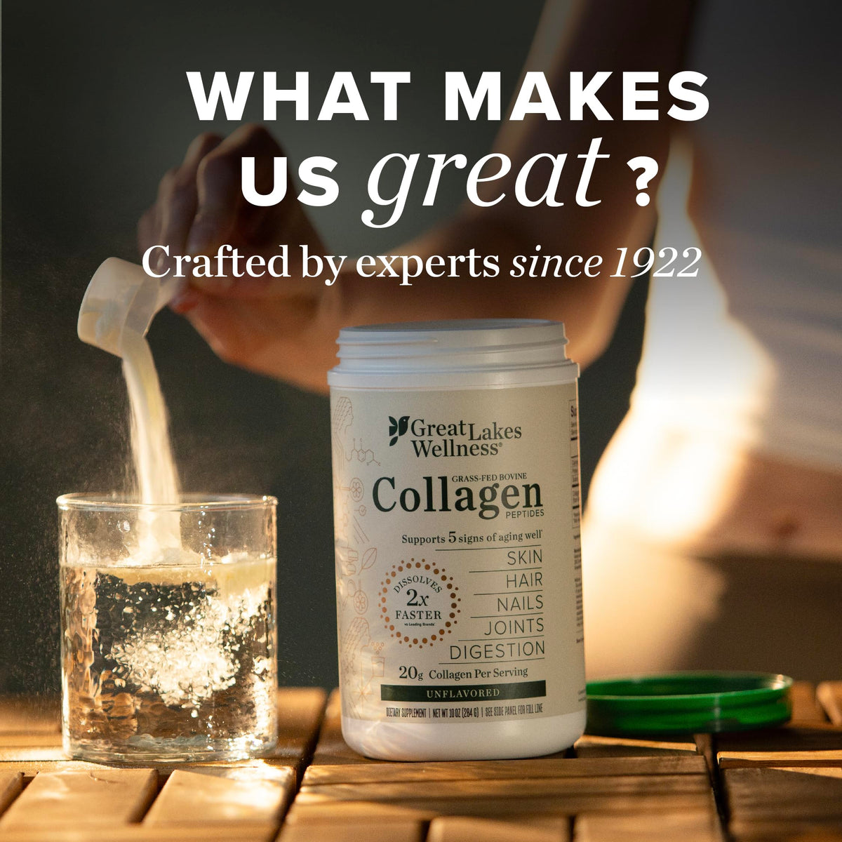Collagen Peptides Powder, Chocolate, 10 oz X1123