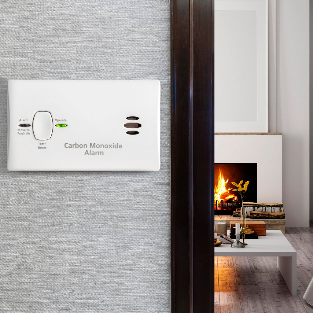 Carbon Monoxide Detector, AA Battery Powered, 85 dB Alarm L8221