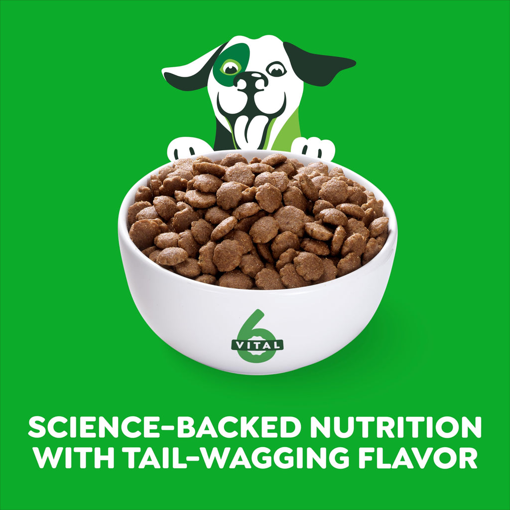 Chicken & Rice Dry Dog Food 15 lb S890