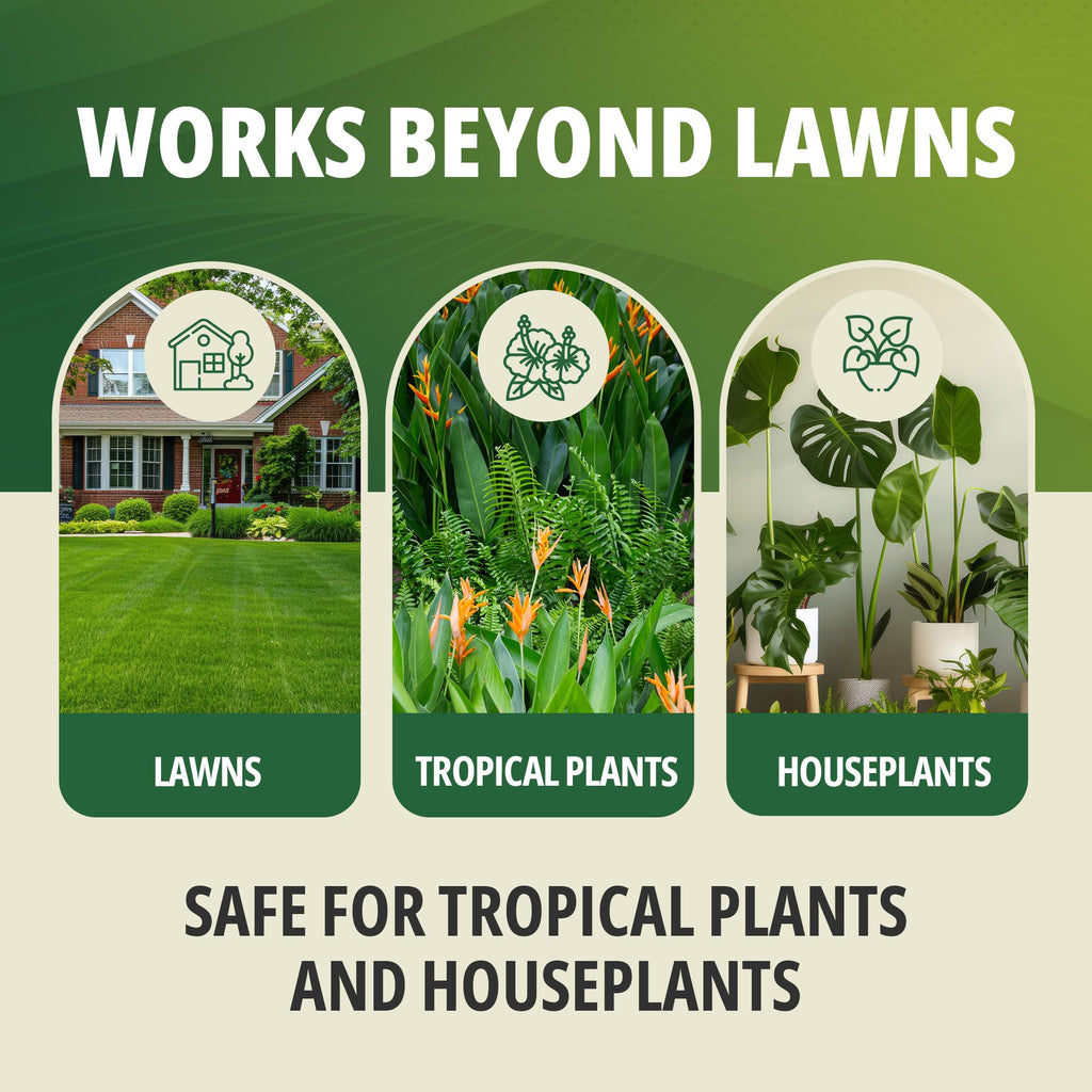 16-0-2 Phosphorus-Free Lawn Fertilizer, 1 Qt N7087