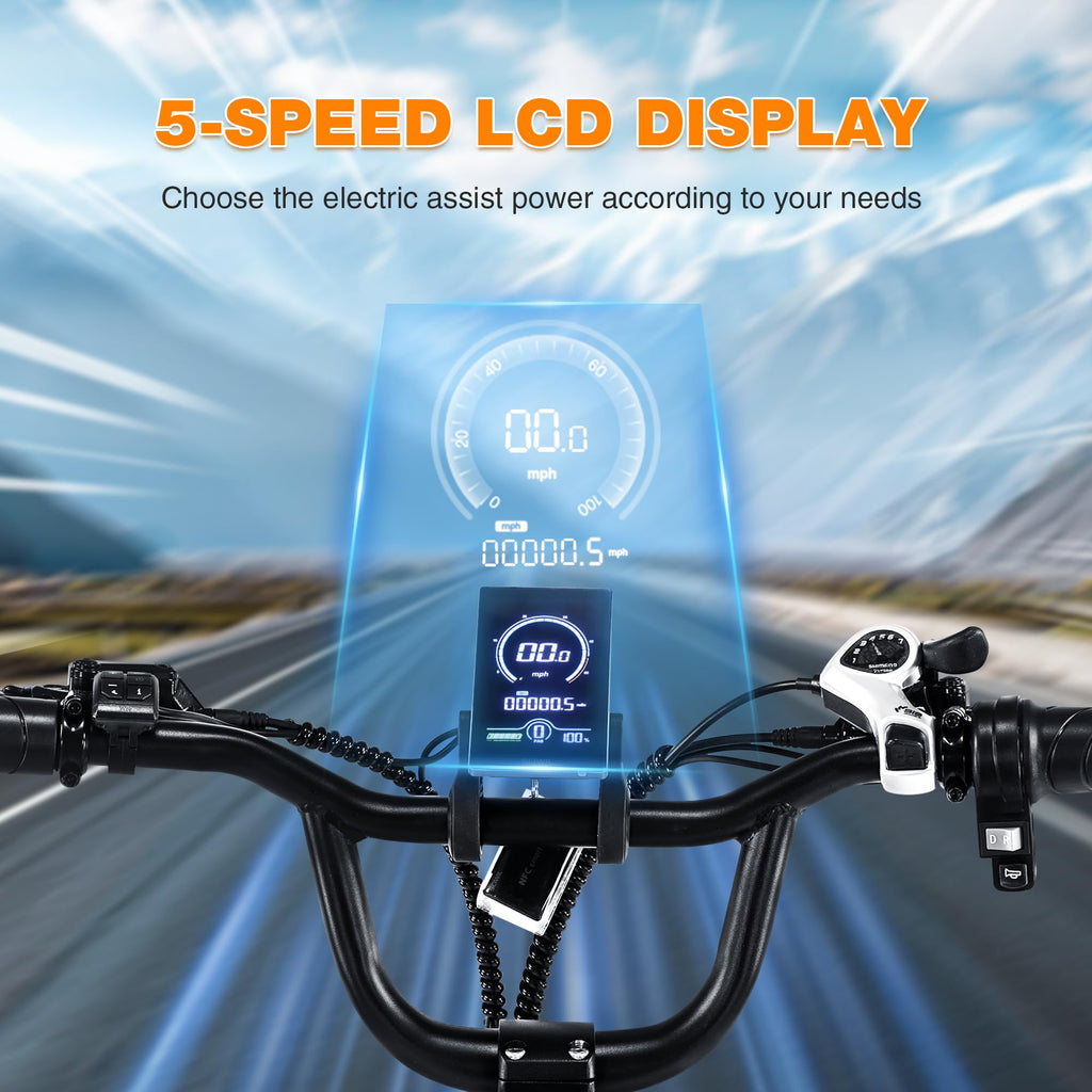 20" Fat Tire Foldable Electric Tricycle Z795