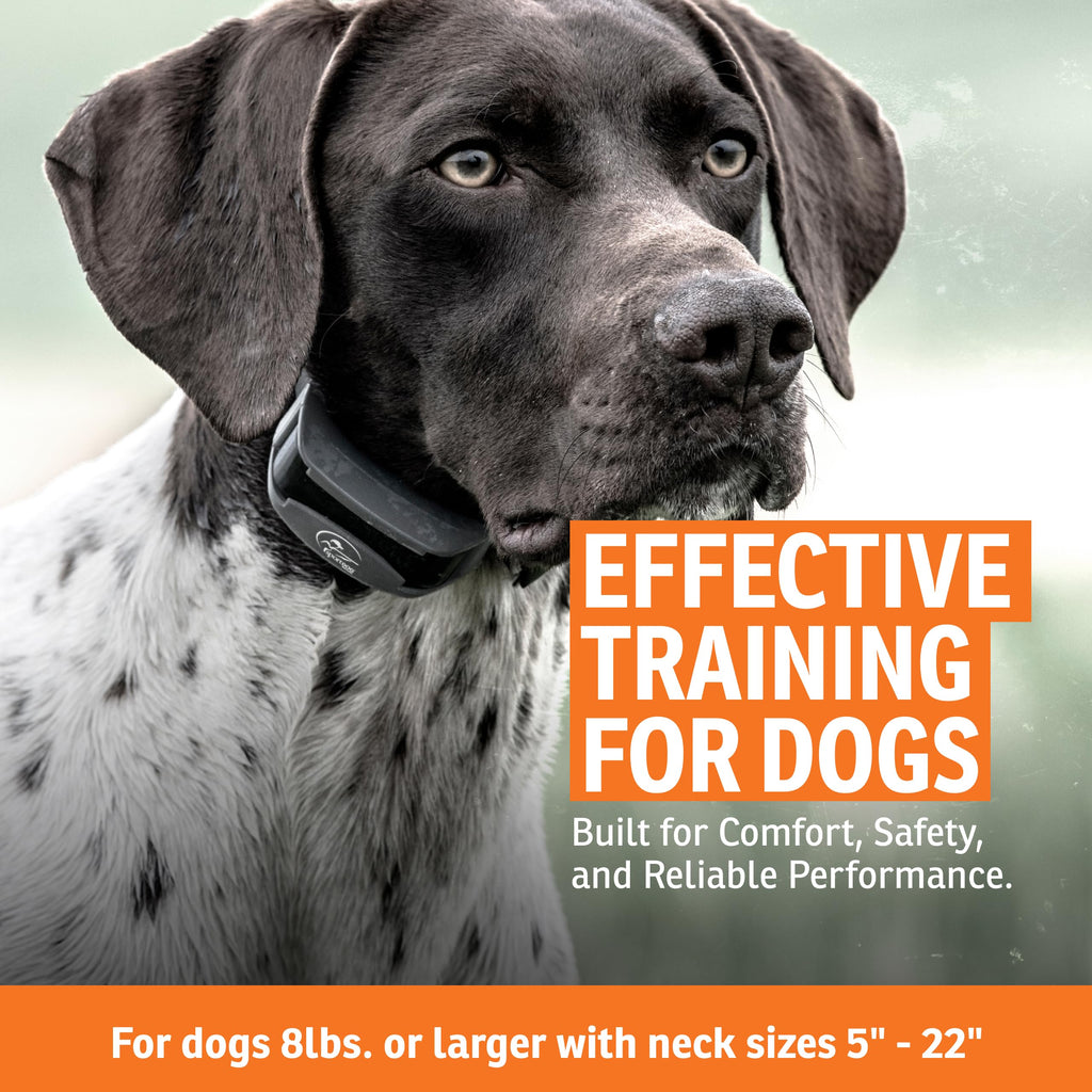 Remote Dog Trainer 1/2 Mile Range L3993