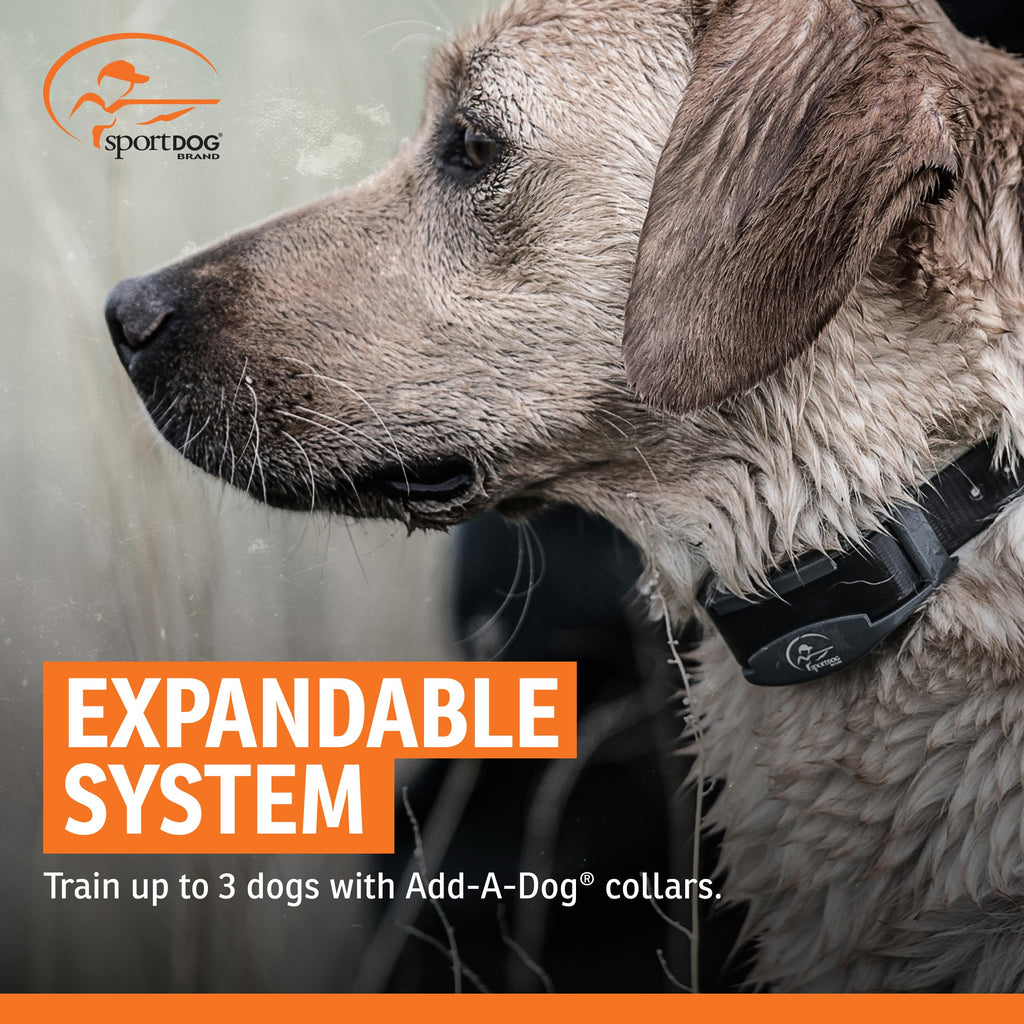Remote Dog Trainer 1/2 Mile Range L3993